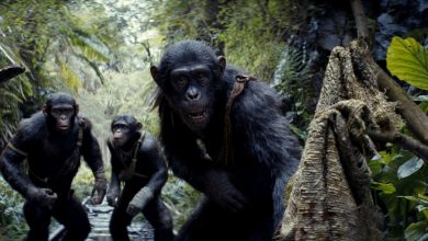 فیلم Kingdom of the Planet of the Apes