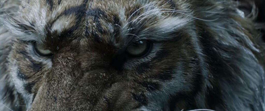 بخشی از تریلر بازی بلک میث ژونگ کوی